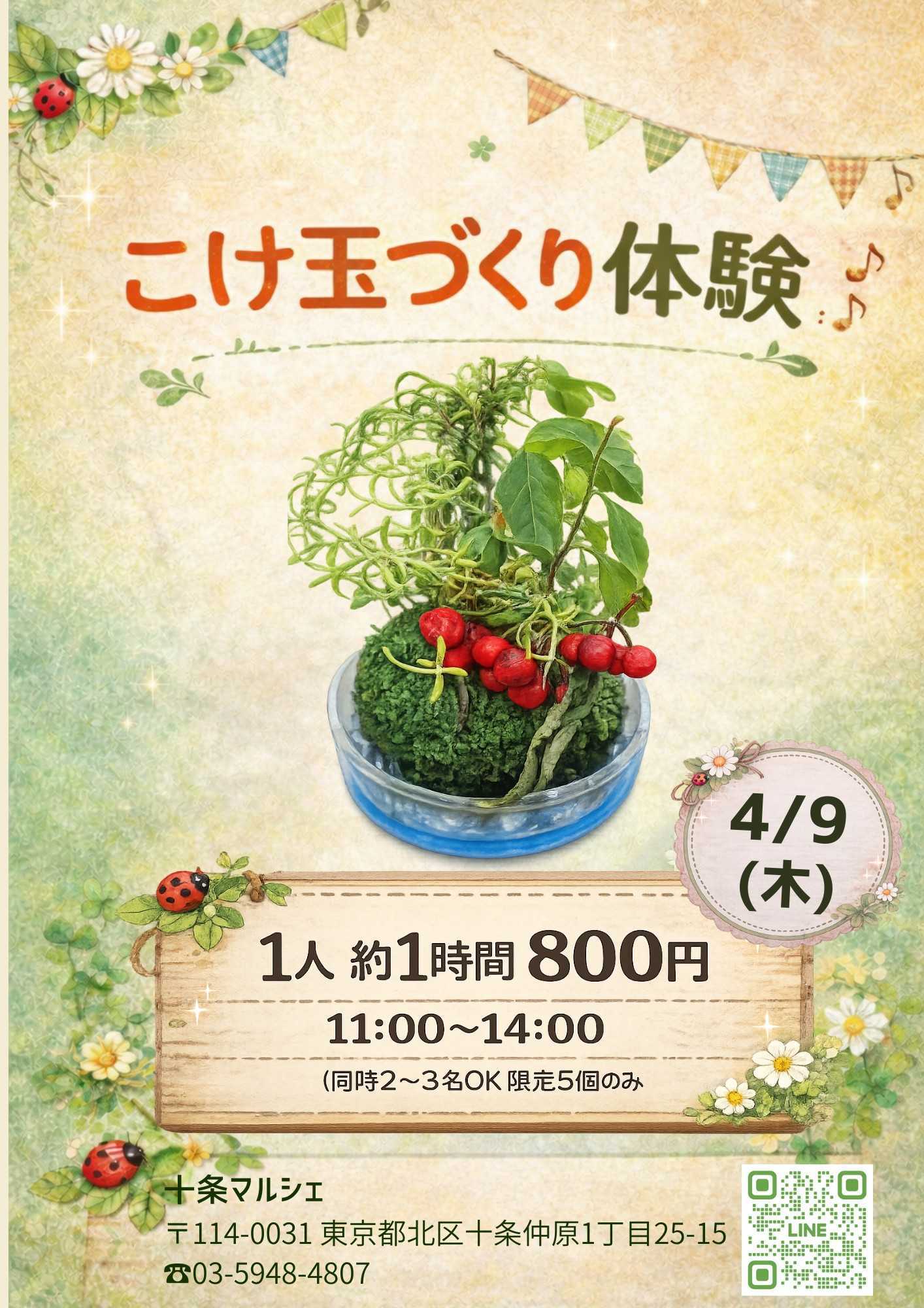 こけ玉づくり体験